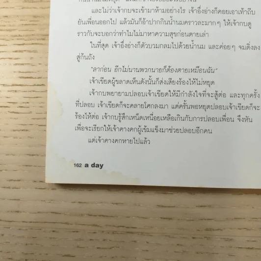 a day ปีที่ 9 ฉบับ 104 เม.ย.2552 สิรินยา เบอร์บริดจ์ รูปที่ 10