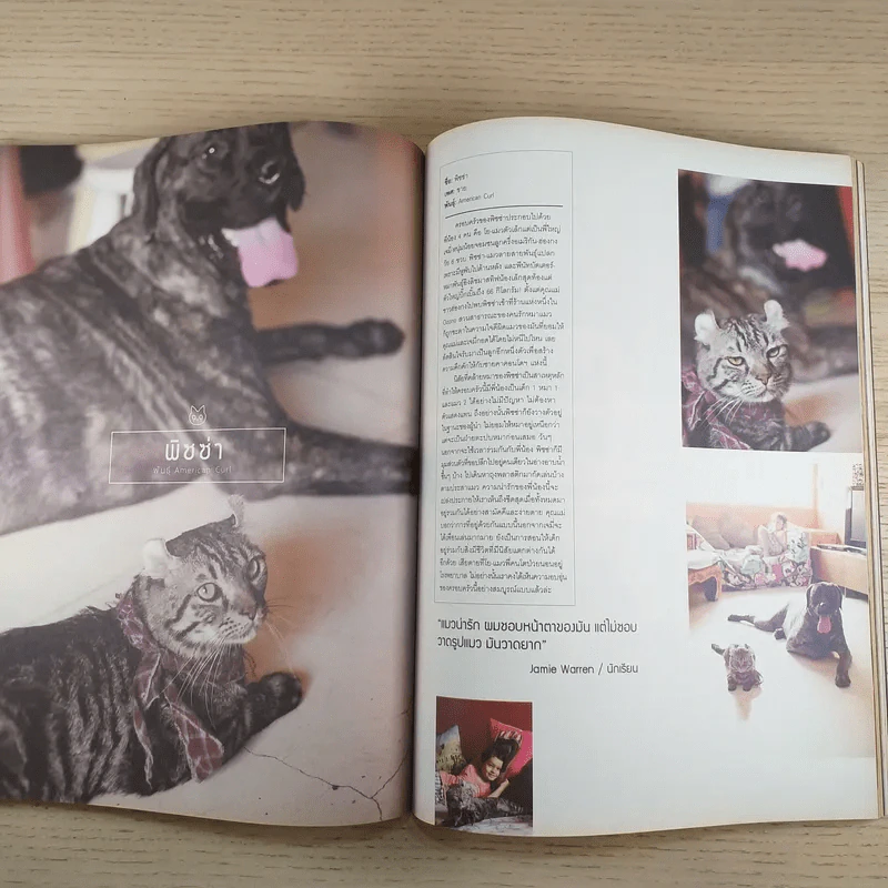a day ปีที่ 13 ฉบับ 152 เม.ย.2556 ซีซาร์ รูปที่ 12