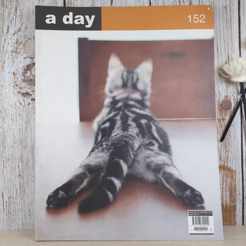 a day ปีที่ 13 ฉบับ 152 เม.ย.2556 ซีซาร์ รูปที่ 1