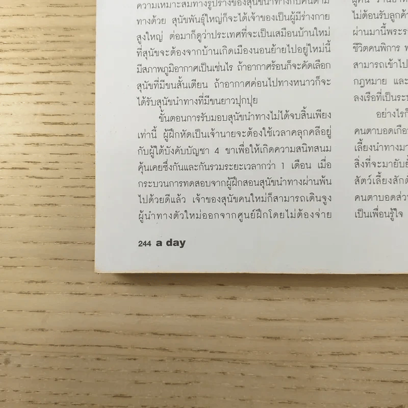 a day ปีที่ 9 ฉบับ 99 พ.ย.2551 ฮารุโอะ ซึเอะคิชิ รูปที่ 12