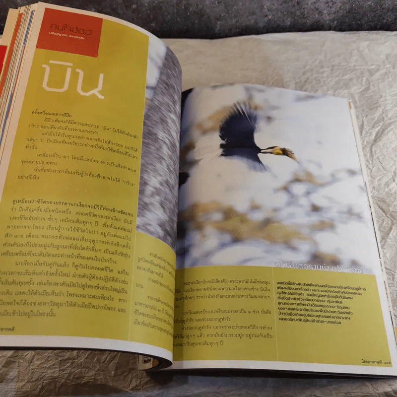 Feature Magazine สารคดี ฉบับที่ 271 ปีที่ 23 ก.ย.2550 ท่องแดงไดโนเสาร์ที่พิพิธภัณฑ์สิรินธร รูปที่ 12