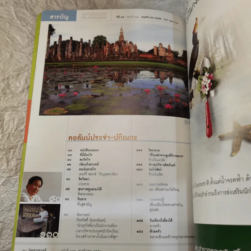 Feature Magazine สารคดี ฉบับที่ 297 ปีที่ 25 พ.ย.2552 10 ปี ดอยไตแลง รูปที่ 8