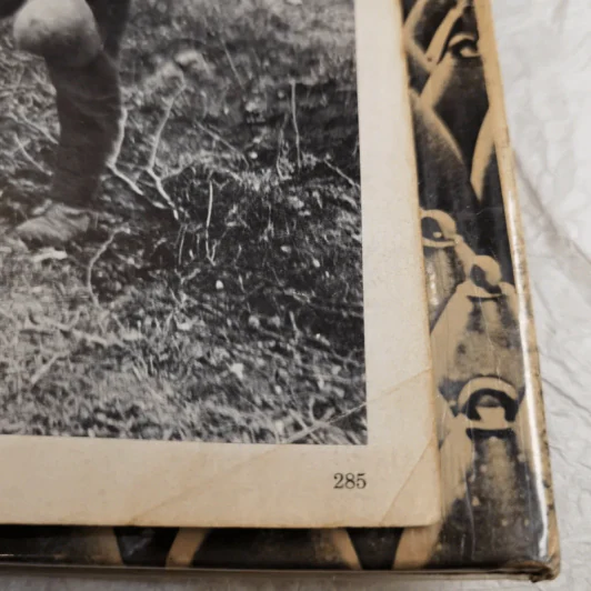 History of World War I - AJPTaylor รูปที่ 16