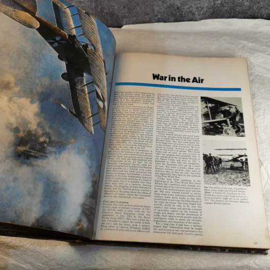 History of World War I - AJPTaylor รูปที่ 14