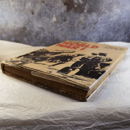 History of World War I - AJPTaylor รูปที่ 5