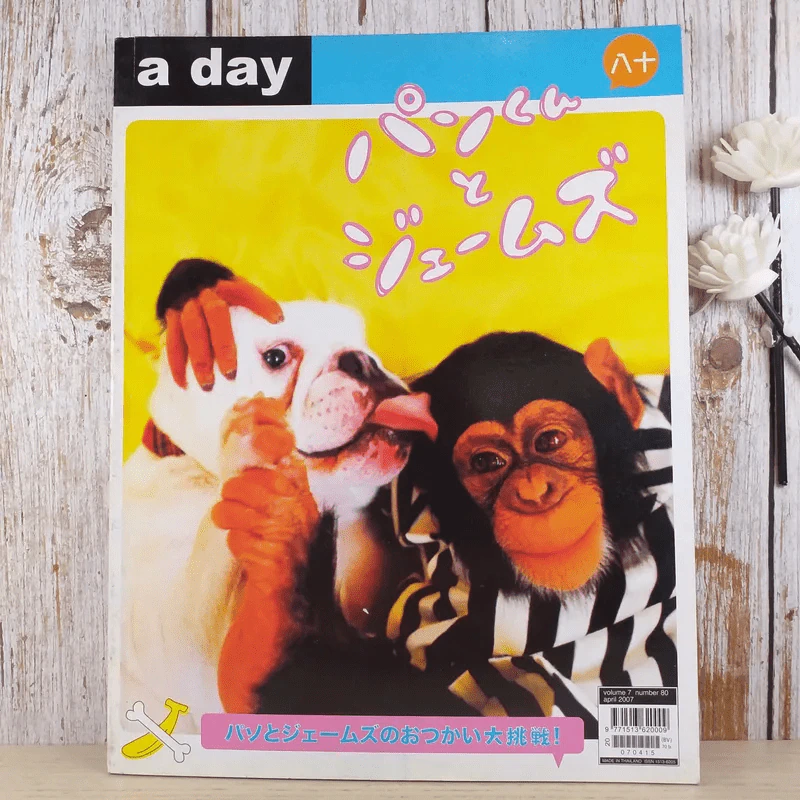 a day ปีที่ 7 ฉบับ 80 เม.ย.2550 ปังคุงกับเจมส์ รูปที่ 1
