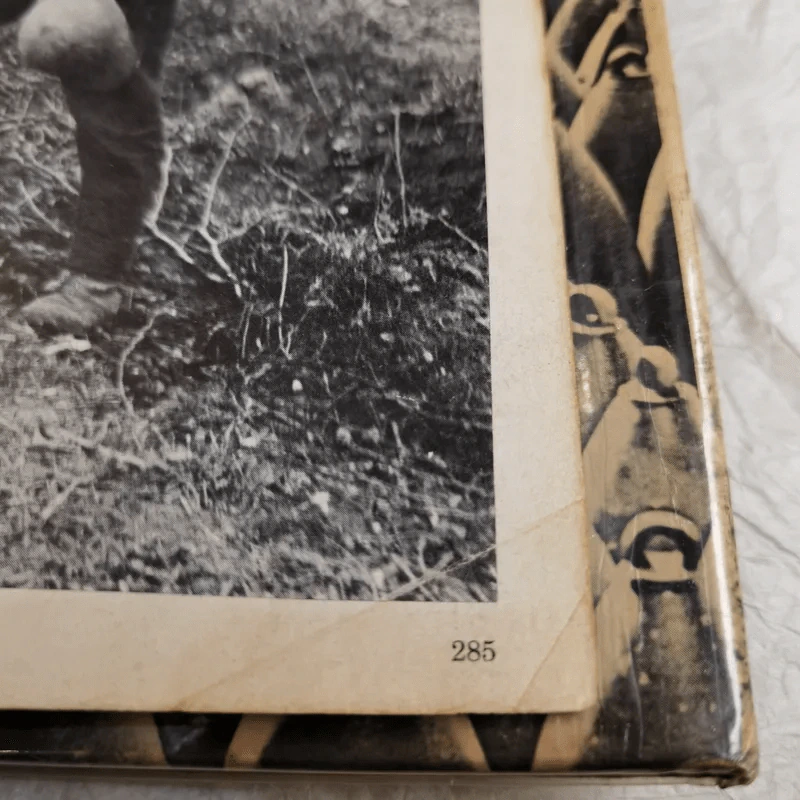 History of World War I - AJPTaylor รูปที่ 16