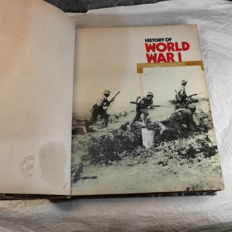 History of World War I - AJPTaylor รูปที่ 8