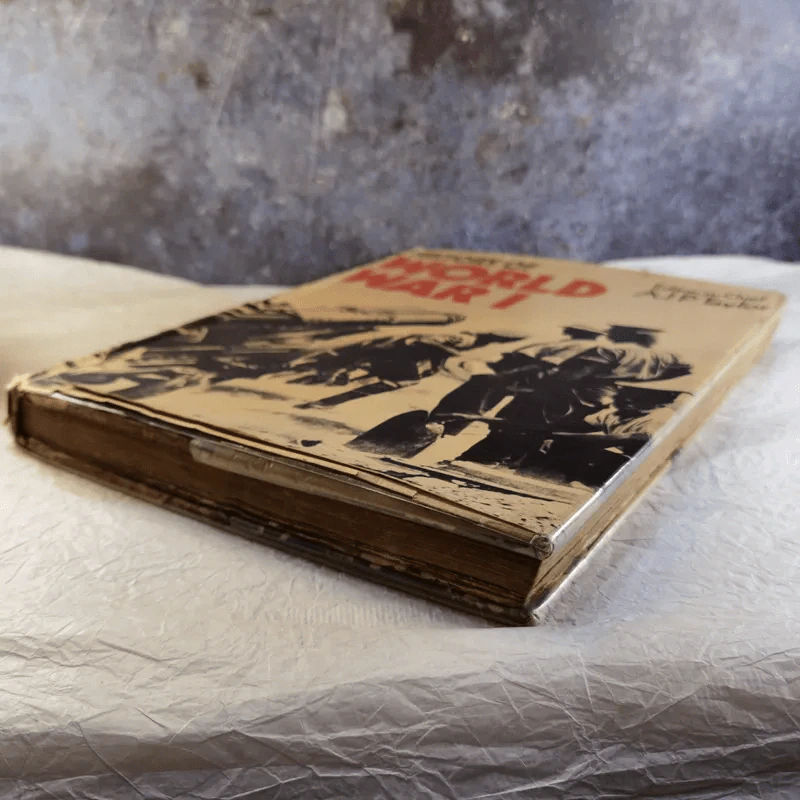 History of World War I - AJPTaylor รูปที่ 5