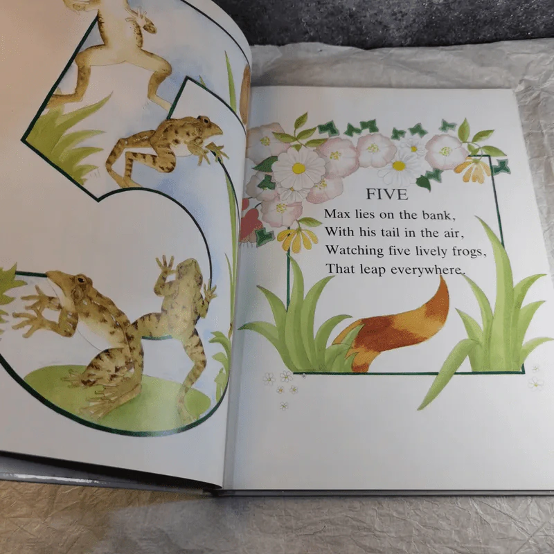 123 Counting Book - Jane Harvey รูปที่ 9