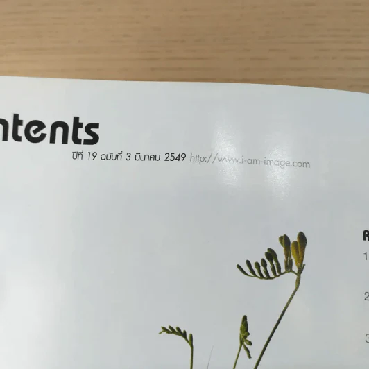 IMAGE ปีที่ 19 ฉบับที่ 3 มี.ค.2549 ลูกเกด เมทินี รูปที่ 3