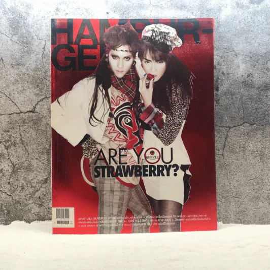 HAMBURGER Vol.8 No.137 Nov 2009 รูปที่ 1