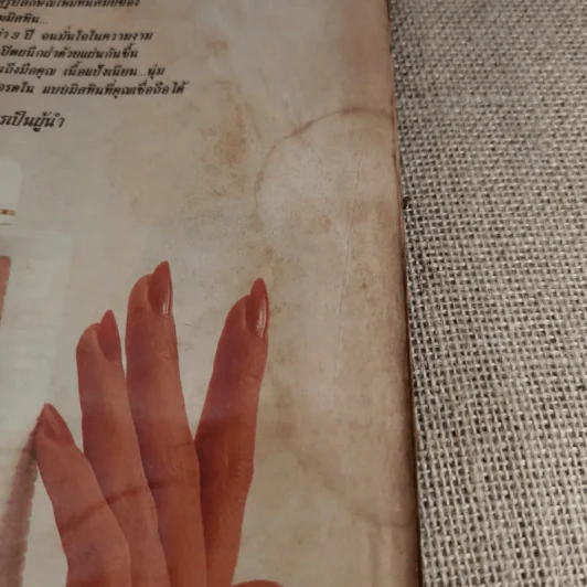 คู่สร้างคู่สม ปักษ์หลัง เม.ย.2533 เบิร์ด ธงไชย & กวาง กมลชนก รูปที่ 9