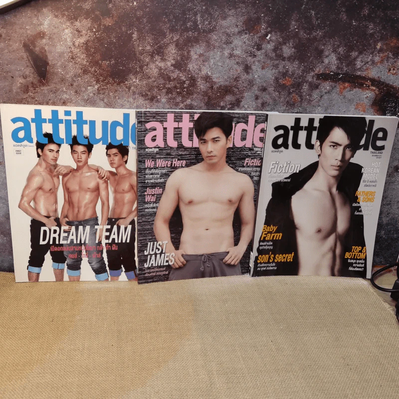 Attitude แอ้ตติจูด ขายรวม 12 เล่ม รูปที่ 8