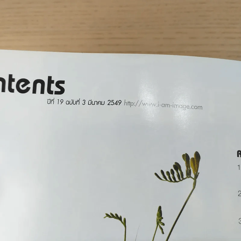 IMAGE ปีที่ 19 ฉบับที่ 3 มี.ค.2549 ลูกเกด เมทินี รูปที่ 3