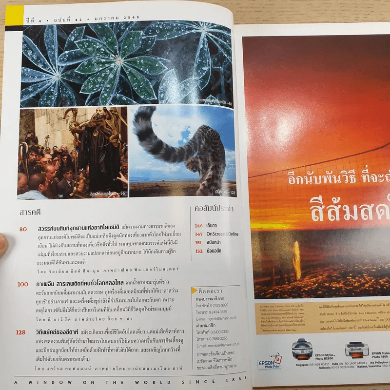 NATIONAL GEOGRAPHIC ม.ค.2548 กาเฟอีน รูปที่ 8