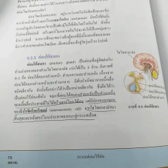 ชีววิทยา เล่ม 3 ชั้นมัธยมศึกษาปีที่ 5 รูปที่ 12