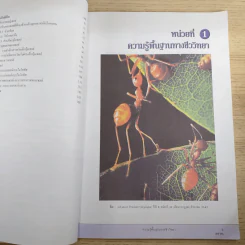 ชีววิทยา เล่ม 1 ชั้นมัธยมศึกษาปีที่ 4 รูปที่ 11