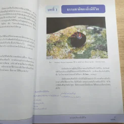 ชีววิทยา เล่ม 1 ชั้นมัธยมศึกษาปีที่ 4 รูปที่ 12