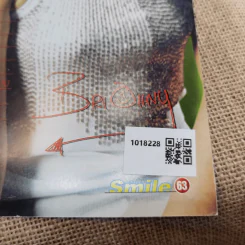 Smile No.55 June 2001 ลิฟท์ & ออย รูปที่ 12