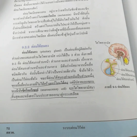 ชีววิทยา เล่ม 3 ชั้นมัธยมศึกษาปีที่ 5 รูปที่ 12
