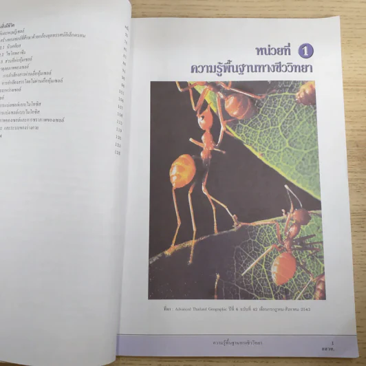 ชีววิทยา เล่ม 1 ชั้นมัธยมศึกษาปีที่ 4 รูปที่ 11