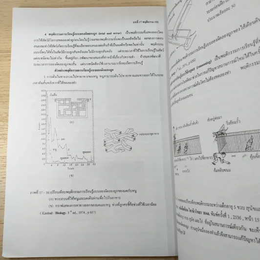 เอกสารประกอบการเรียน วิชา ชีววิทยา ชั้นมัธยมศึกษาปีที่ 6 โรงเรียนเตรียมอุดมศึกษา รูปที่ 13