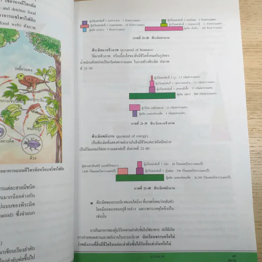 ชีววิทยา เล่ม 6 ชั้นมัธยมศึกษาปีที่ 6 รูปที่ 11