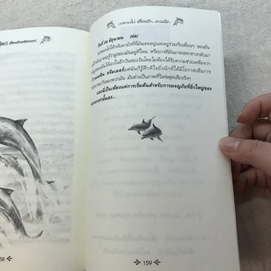 โลมาเพื่อนรักมหัศจรรย์ ตอน อะพอลโล่ เพื่อนรัก...ทะเลลึก รูปที่ 10