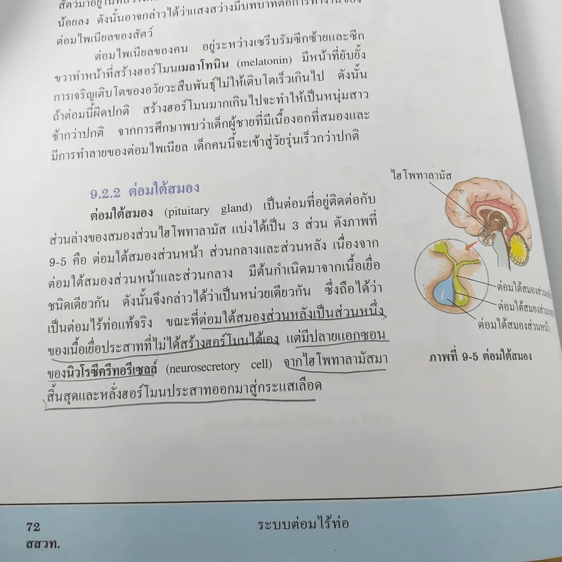 ชีววิทยา เล่ม 3 ชั้นมัธยมศึกษาปีที่ 5 รูปที่ 12