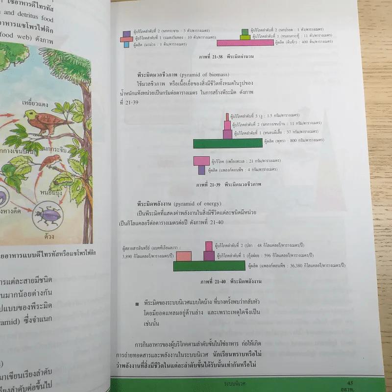 ชีววิทยา เล่ม 6 ชั้นมัธยมศึกษาปีที่ 6 รูปที่ 11
