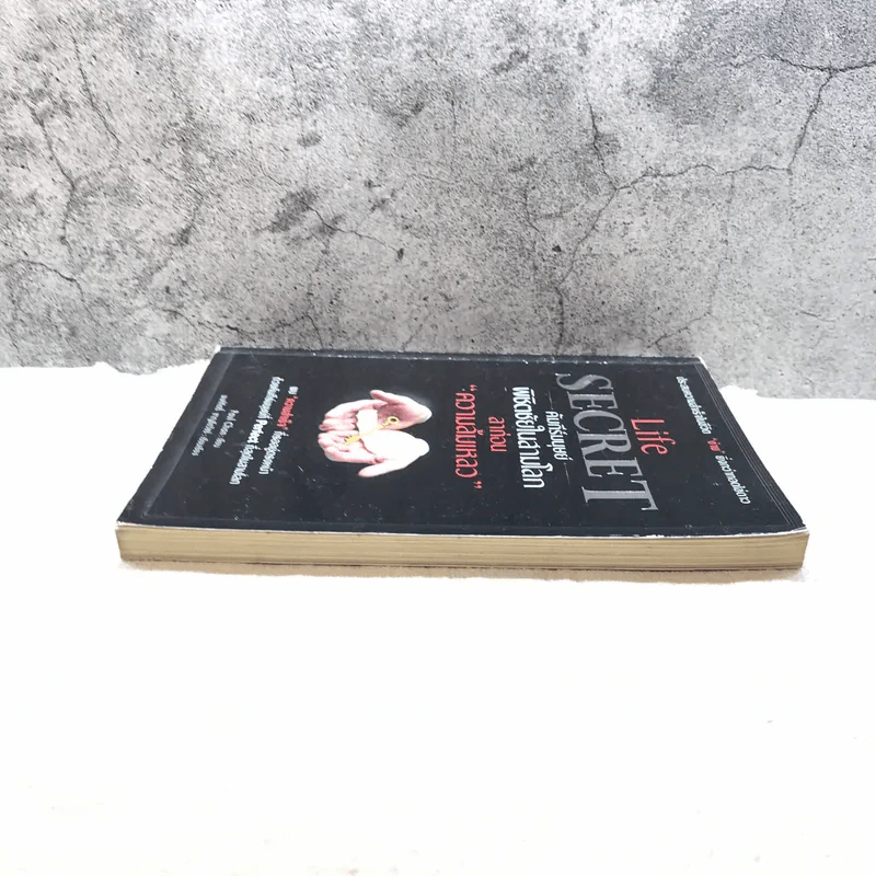 Life Secret คัมภีร์มนุษย์พิชิตชัยในสามโลก ลาก่อนความล้มเหลว - Paul Chan รูปที่ 3