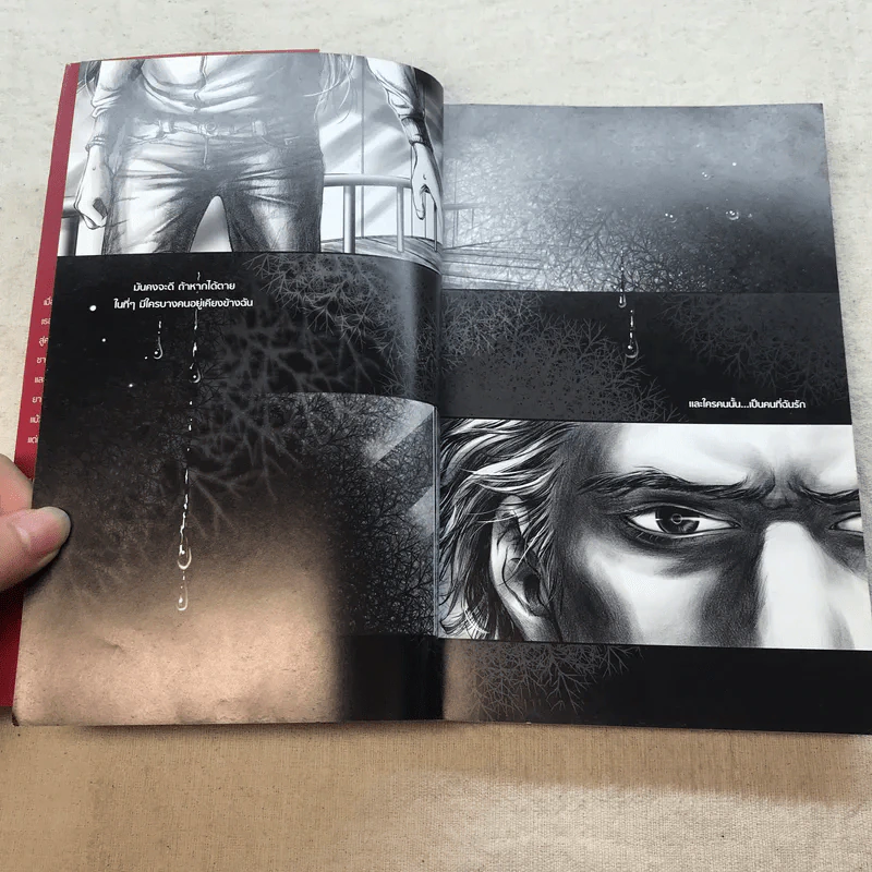 Twilight the Graphic Novel Volume 1 ทไวไลท์ กราฟิก โนเวล เล่ม 1 รูปที่ 7