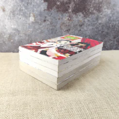 เนกิมะนีโอ เล่ม 1-5 รูปที่ 4