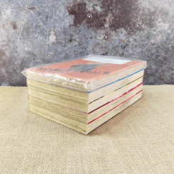 อาคาเมะ สวยประหาร เล่ม 1-5 รูปที่ 4