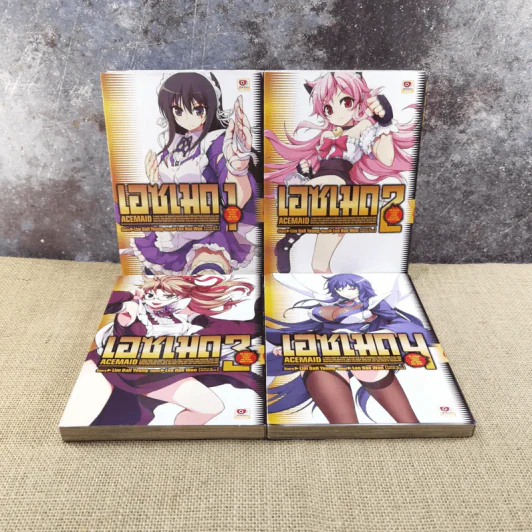 Acemaid เอซเมด 4 เล่มจบ รูปที่ 1
