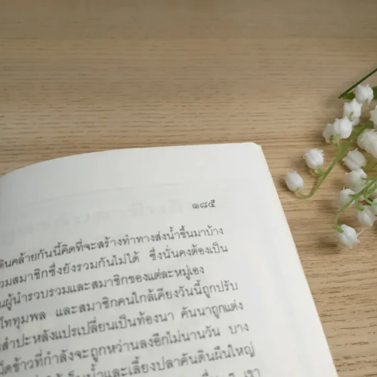 ปัญญาจากแผ่นดิน ทีมเทคโนโลยีชาวบ้าน รูปที่ 14