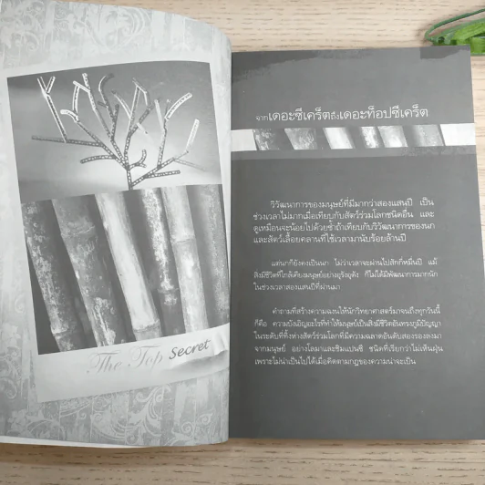 The Top Secret เดอะท็อปซีเคร็ต - ทันตแพทย์สม สุจีรา รูปที่ 14