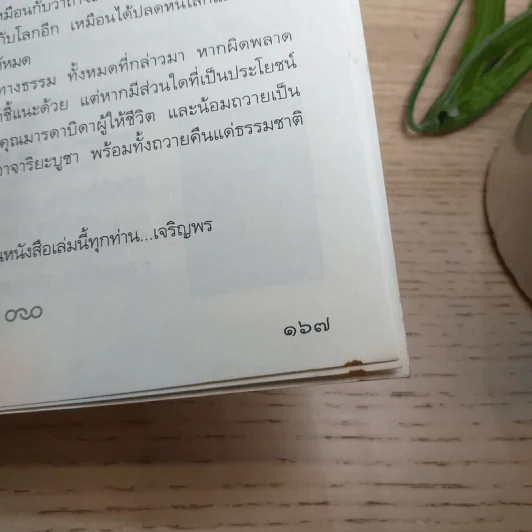 191 1 พระอาจารย์ 9 มารร้าย ปิดอบายใน 1 พรรษา รูปที่ 11