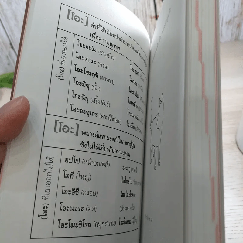 พจนานุกรมภาษาหมา - โยโกะ คิตายามะ, จินตนา เวชสวัสดิ์ แปล รูปที่ 9