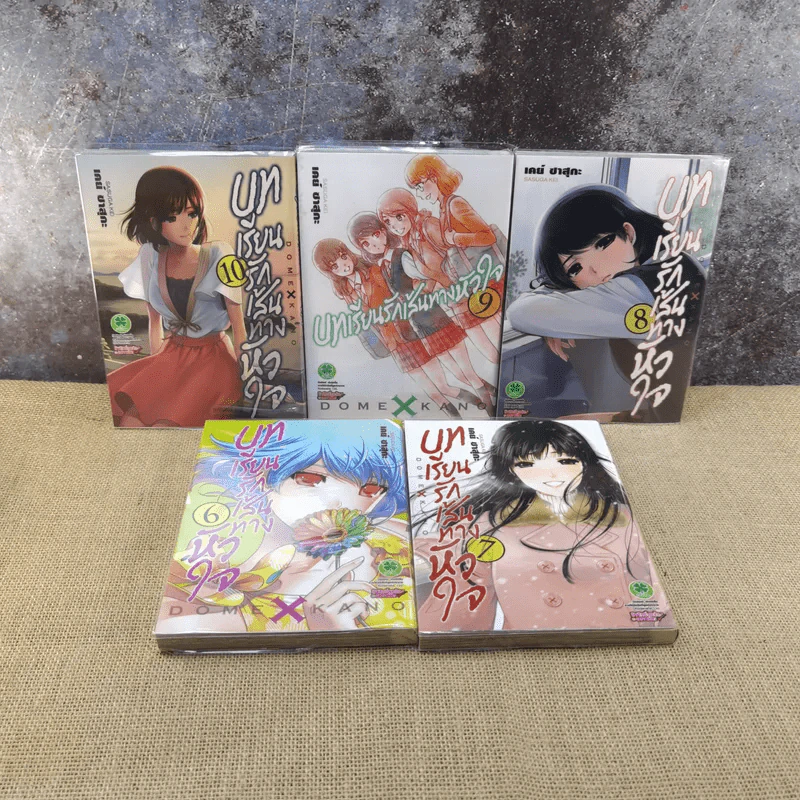 บทเรียนรักเส้นทางหัวใจ เล่ม 1-15 รูปที่ 7