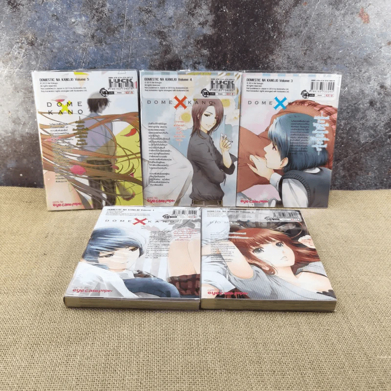 บทเรียนรักเส้นทางหัวใจ เล่ม 1-15 รูปที่ 9