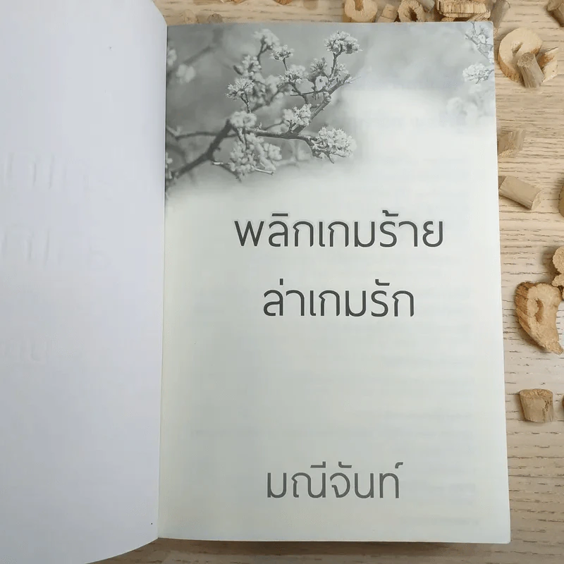 พลิกเกมร้ายล่าเกมรัก - มณีจันท์ รูปที่ 7