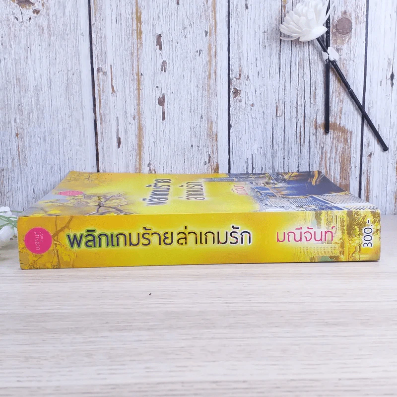 พลิกเกมร้ายล่าเกมรัก - มณีจันท์ รูปที่ 3