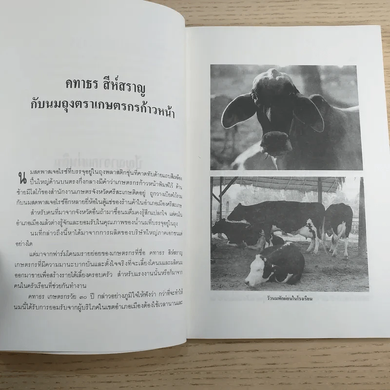 ปัญญาจากแผ่นดิน ทีมเทคโนโลยีชาวบ้าน รูปที่ 13