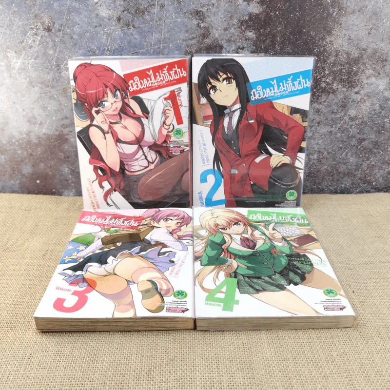 มือใหม่ไม่ทิ้งฝัน เล่ม 1-4 รูปที่ 6