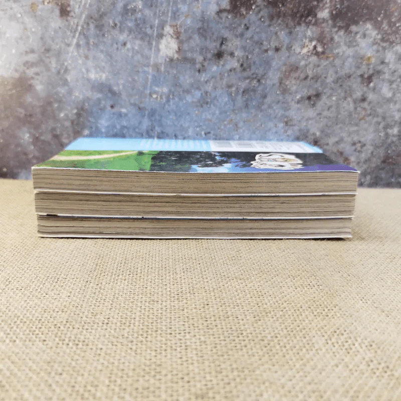 อลวนสุดป่วนนางฟ้าตัวยุ่ง เล่ม 1-3 รูปที่ 3