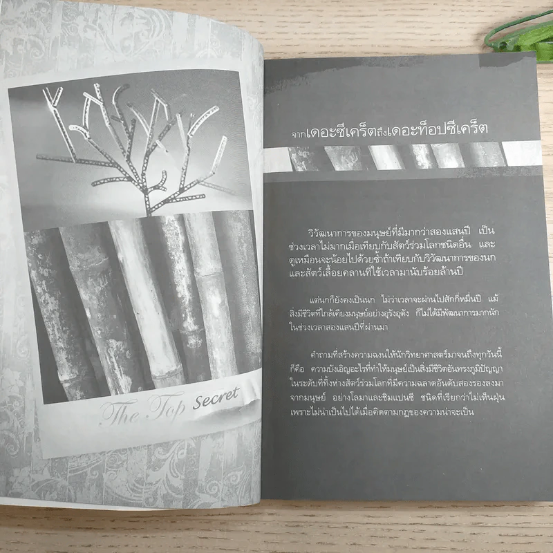 The Top Secret เดอะท็อปซีเคร็ต - ทันตแพทย์สม สุจีรา รูปที่ 14