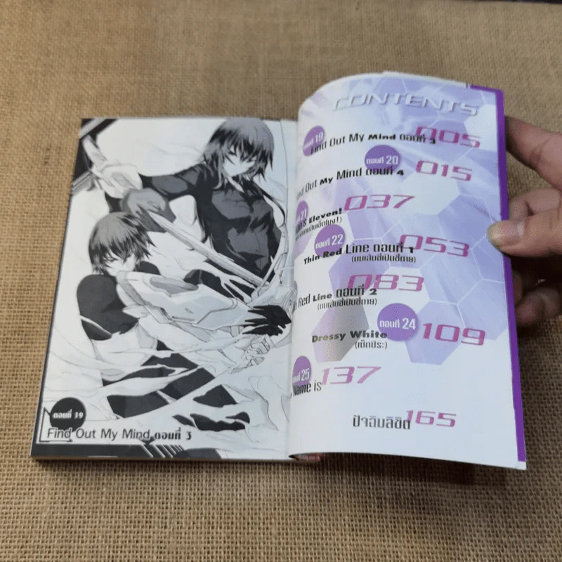 Infinite Stratos อินฟินิทสตราโตส 5 เล่มจบ รูปที่ 8