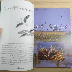ดวงใจแห่งไพรพฤกษ์ - ดวงดาว สุวรรณรังษี รูปที่ 9